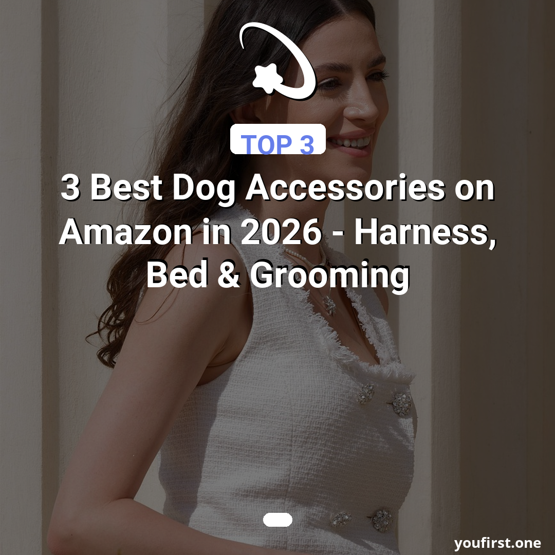 3 Best Dog Accessories on Amazon in 2026 — Harness, Bed & Grooming