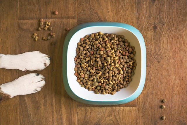 Purina Pro Plan Sensitive Skin & Stomach, Salmon & Rice (16 lb)